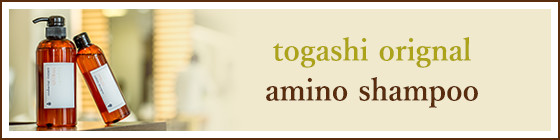 togashi orignal amino shampoo