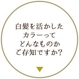 白髪を活かしたカラーっどんなものかご存知ですか？